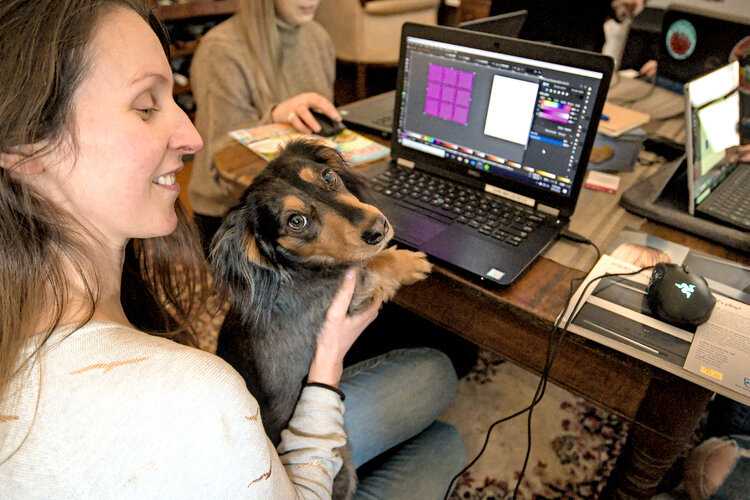 Dr Jennifer Lavers holding sausage dog in front of computer